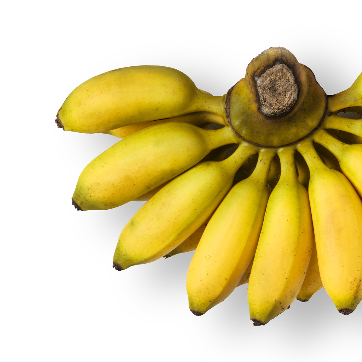 Banana Maçã
